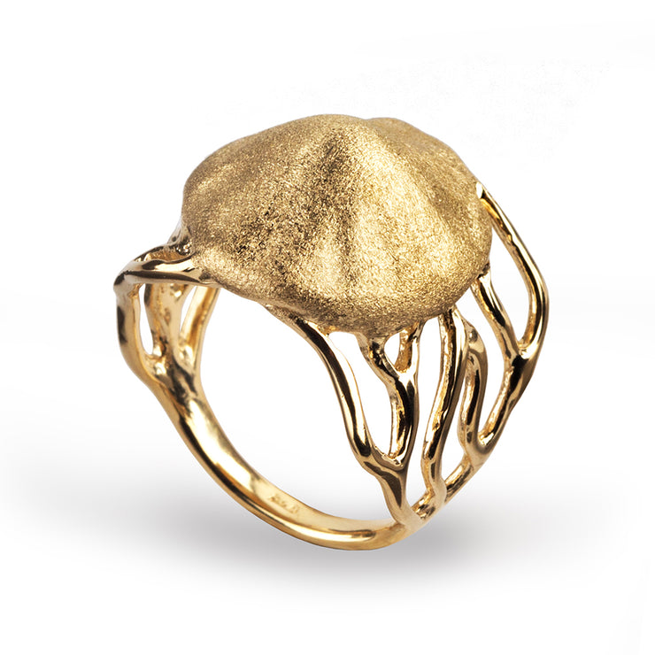 arosha taglia gold medusa ring